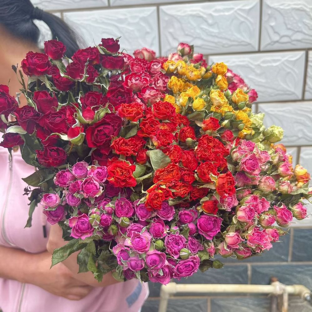 Art Craft Flower Making - Natural Dried Bubble Rose Flowers Floral
