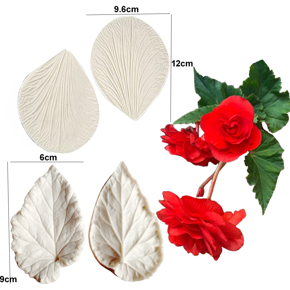 Begonia Tuberous Veiner Silico - огляд і ціна Art Craft Leaves
