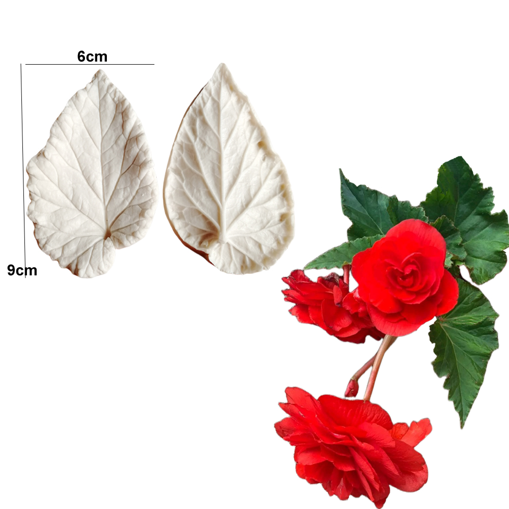 Begonia Tuberous Veiner Silico - огляд і ціна Art Craft Leaves