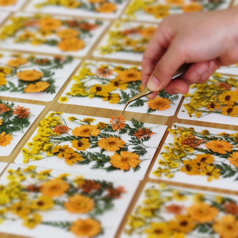 Dried Flowers Real Natural Pla - огляд і ціна Art Craft Flower Making