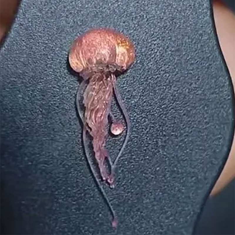 M2EA Soft Silicone Jellyfish M - огляд і ціна Art Craft Jellyfish