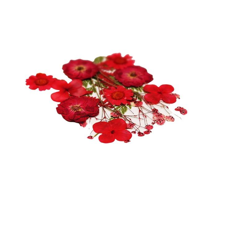 Real Natural Pressed Dried Pla - огляд і ціна Art Craft Flower Making